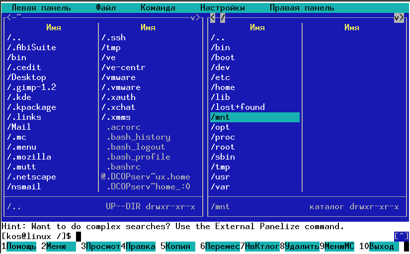 Рис.6.1. Внешний вид экрана при работе с Midnight Commander