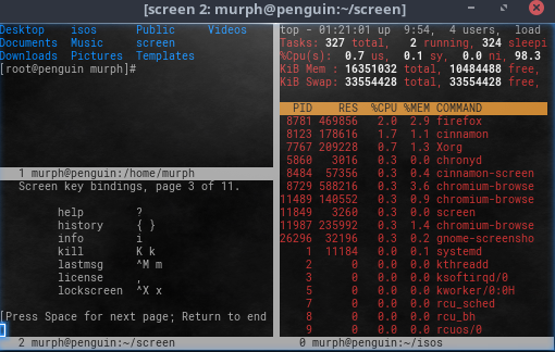 GNU Screen