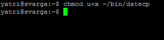 chmod u+x ~/bin/datecp